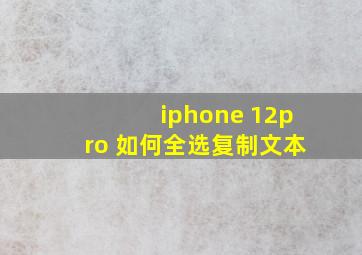 iphone 12pro 如何全选复制文本